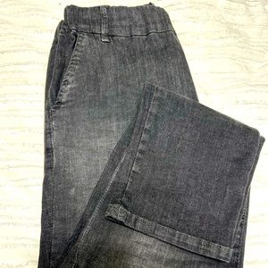 Size 25 Bevy Flog Dafna pants. Gently worn!